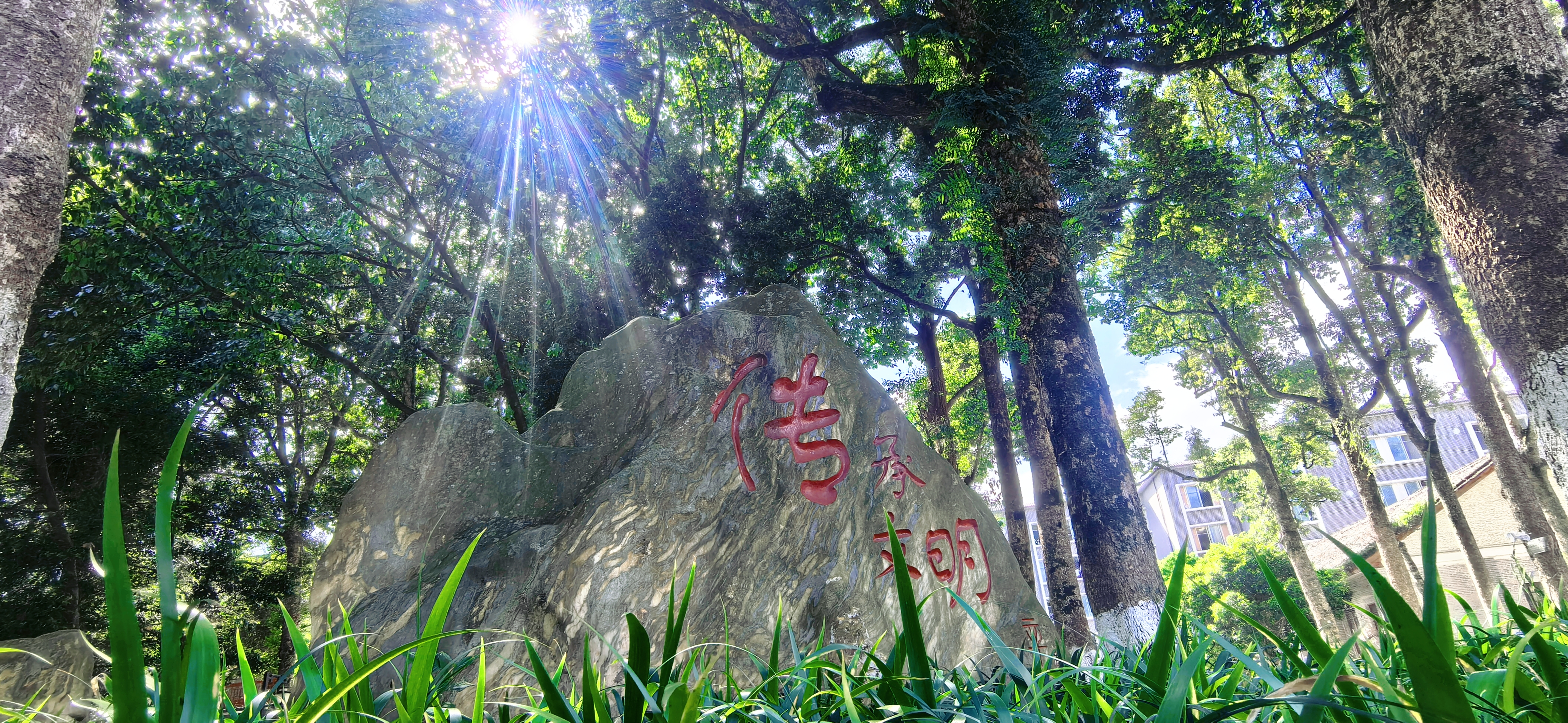 一校藏山水，万卷育英才